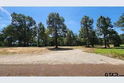 151 Bluewood Rd, Big Sandy, TX 75755 - Photo 3