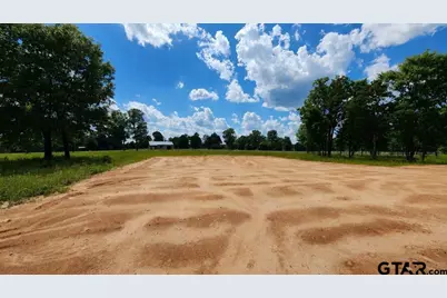 151 Bluewood Rd, Big Sandy, TX 75755 - Photo 15
