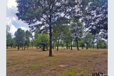 151 Bluewood Rd, Big Sandy, TX 75755 - Photo 27