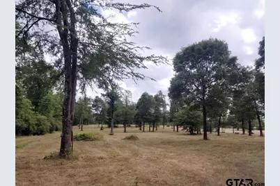 151 Bluewood Rd, Big Sandy, TX 75755 - Photo 29