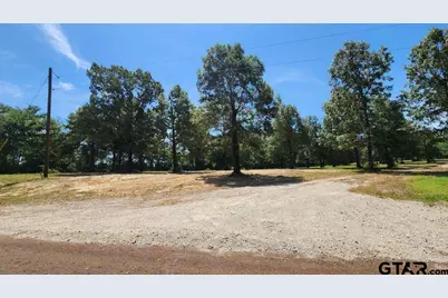 151 Bluewood Rd, Big Sandy, TX 75755 - Photo 13