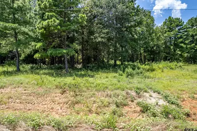 Lot 71 Star Mountain, Winona, TX 75792 - Photo 9