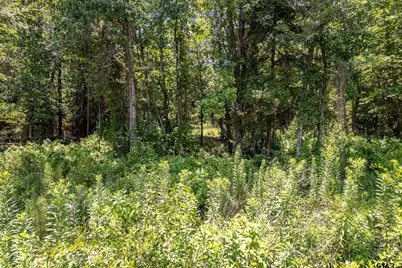 Lot 71 Star Mountain, Winona, TX 75792 - Photo 11