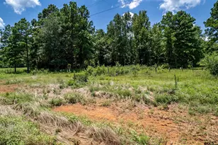 Lot 71 Star Mountain, Winona, TX 75792 - Photo 1