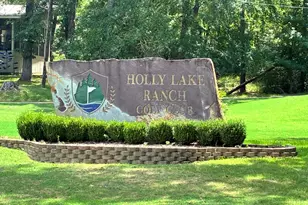 225 Holly Hill Cir, Holly Lake Ranch, TX 75765 - Photo 31