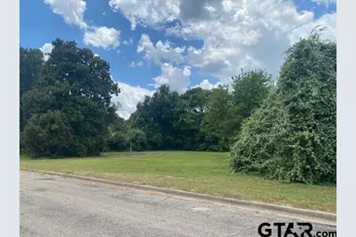 201 W College Street, Athens, TX 75751 - Photo 3