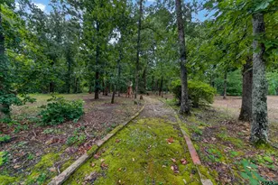 1325 Private Rd 7905, Hawkins, TX 75765 - Photo 3