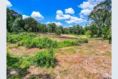 317 County Road 1410, Quitman, TX 75783 - Photo 37