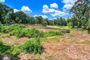 317 Co Rd 1410, Quitman, TX 75783 - Photo 37