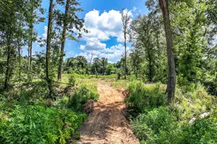 317 Co Rd 1410, Quitman, TX 75783 - Photo 31