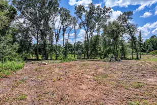 317 Co Rd 1410, Quitman, TX 75783 - Photo 27