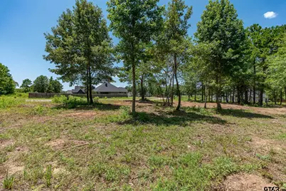 21019 Patriot Circle, Tyler, TX 75703 - Photo 3