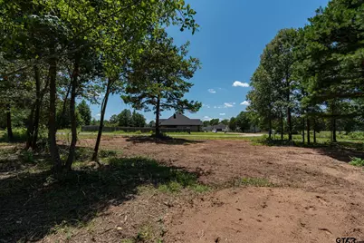 21019 Patriot Circle, Tyler, TX 75703 - Photo 5