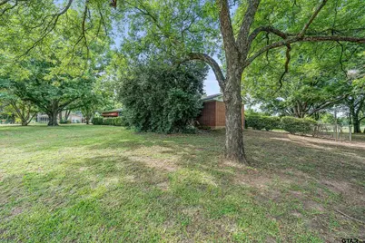 599 E Holley, Alba, TX 75410 - Photo 25