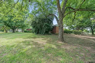 599 E Holley, Alba, TX 75410 - Photo 25