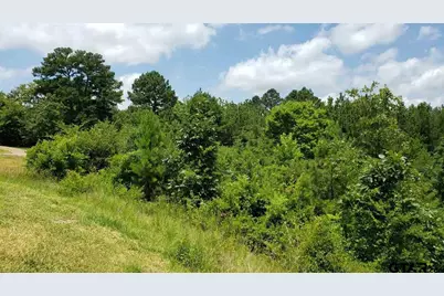 0 Skyline Dr., Brownsboro, TX 75756 - Photo 7