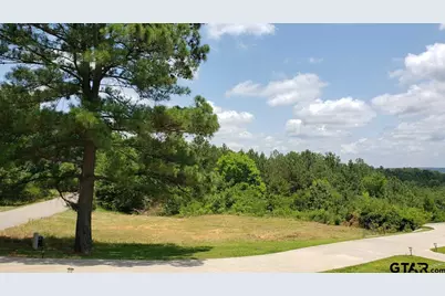 0 Skyline Dr., Brownsboro, TX 75756 - Photo 5