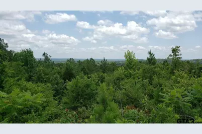 0 Skyline Dr., Brownsboro, TX 75756 - Photo 9
