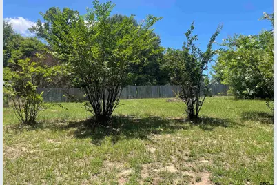 12059 Cr 3300, Brownsboro, TX 75756 - Photo 11