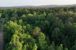 000B County Road 1204, Rusk, TX 75785 - Photo 1