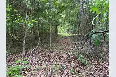 000B County Road 1204, Rusk, TX 75785 - Photo 7