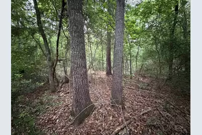 000B County Road 1204, Rusk, TX 75785 - Photo 5