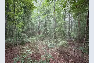 000B County Road 1204, Rusk, TX 75785 - Photo 3