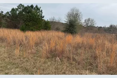 1335 San Saba, Bullard, TX 75757 - Photo 3