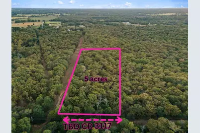 Tbd County Road 3117, Edgewood, TX 75117 - Photo 1