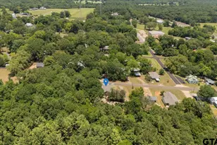 311 Johnson Rd, Winona, TX 75792 - Photo 33