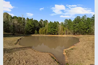 11554 Fm 1649, Ore City, TX 75683 - Photo 5