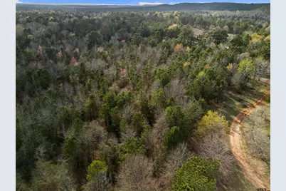 11554 Fm 1649, Ore City, TX 75683 - Photo 13
