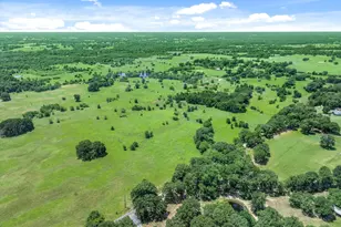 3300 Vzcr 1903, Edgewood, TX 75117 - Photo 9