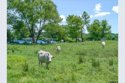 3300 Vzcr 1903, Edgewood, TX 75117 - Photo 27