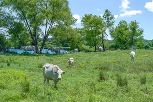 3300 Vzcr 1903, Edgewood, TX 75117 - Photo 27