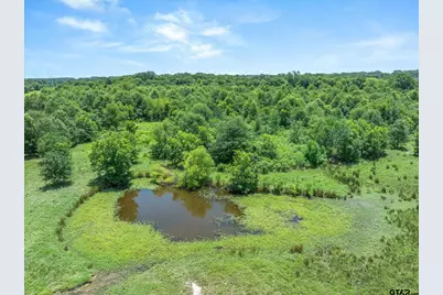 3300 Vzcr 1903, Edgewood, TX 75117 - Photo 37