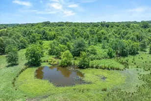3300 Vzcr 1903, Edgewood, TX 75117 - Photo 37