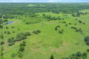 3300 Vz Cr 1903, Edgewood, TX 75117 - Photo 21