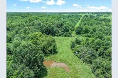 3300 Vz Cr 1903, Edgewood, TX 75117 - Photo 13