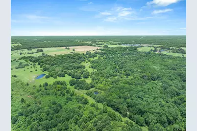 3300 Vz Cr 1903, Edgewood, TX 75117 - Photo 15