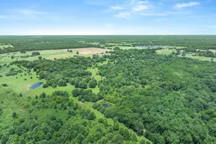 3300 Vz Cr 1903, Edgewood, TX 75117 - Photo 15