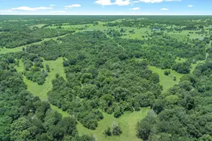 3300 Vz Cr 1903, Edgewood, TX 75117 - Photo 11