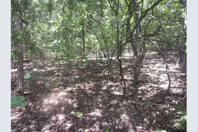 0000 Wildwood, Murchison, TX 75778 - Photo 5