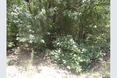 0000 Wildwood, Murchison, TX 75778 - Photo 7