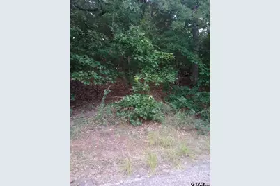 0000 Wildwood, Murchison, TX 75778 - Photo 1