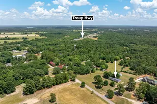 10198 Cr 2167 (Jim Russell Rd), Whitehouse, TX 75791 - Photo 23