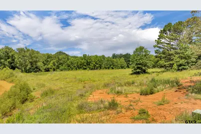 17273 Stella Maris Street, Winona, TX 75792 - Photo 9