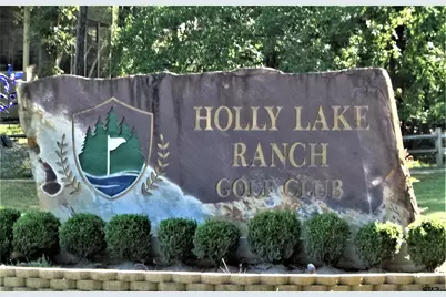 225 Holly Hill 118E, Holly Lake Ranch, TX 75765 - Photo 17