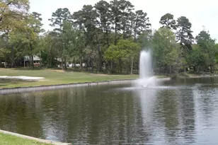225 Holly Hill 118E, Holly Lake Ranch, TX 75765 - Photo 21