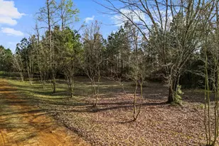 11554 Fm 1649, Ore City, TX 75683 - Photo 5